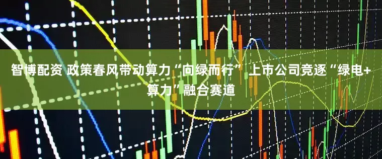 智博配资 政策春风带动算力“向绿而行” 上市公司竞逐“绿电+算力”融合赛道