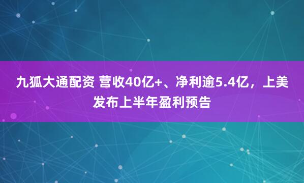 九狐大通配资 营收40亿+、净利逾5.4亿，上美发布上半年盈利预告